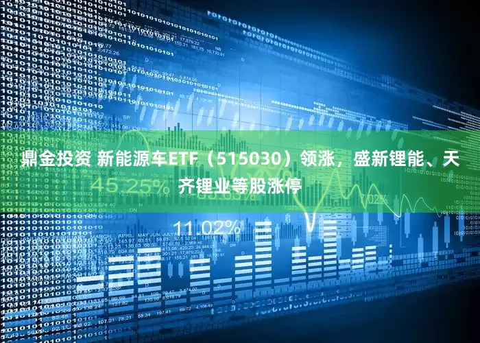 鼎金投资 新能源车ETF（515030）领涨，盛新锂能、天齐锂业等股涨停