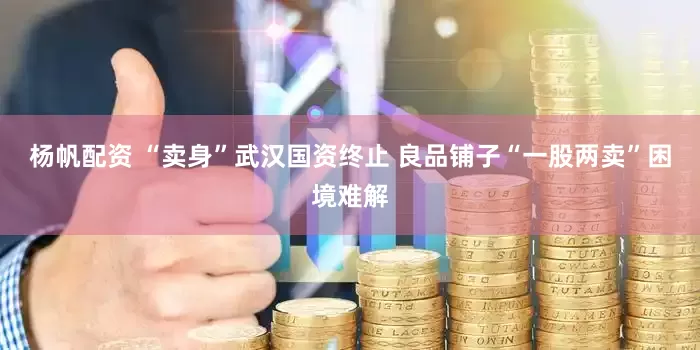 杨帆配资 “卖身”武汉国资终止 良品铺子“一股两卖”困境难解