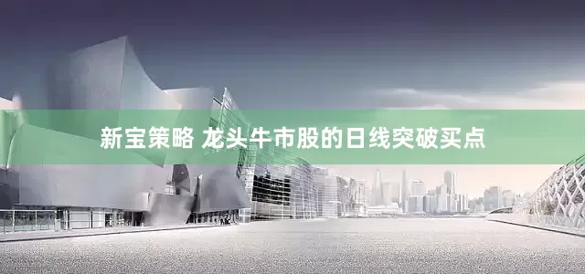 新宝策略 龙头牛市股的日线突破买点